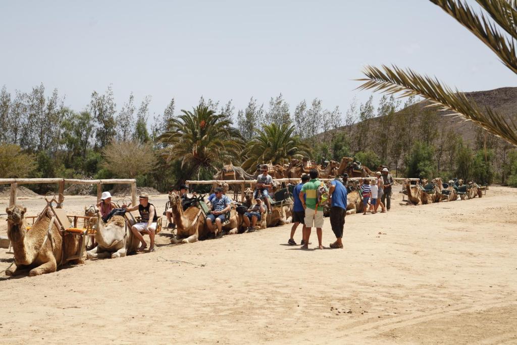 מלון Pájara Bungalows El Jardin מראה חיצוני תמונה